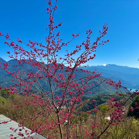 Tian Hsiang Tea B&B Ren'ai Esterno foto