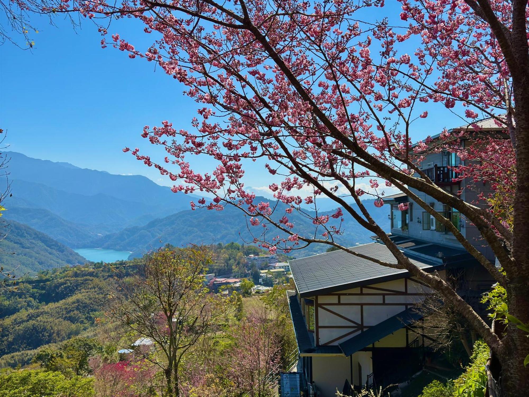 Tian Hsiang Tea B&B Ren'ai Esterno foto