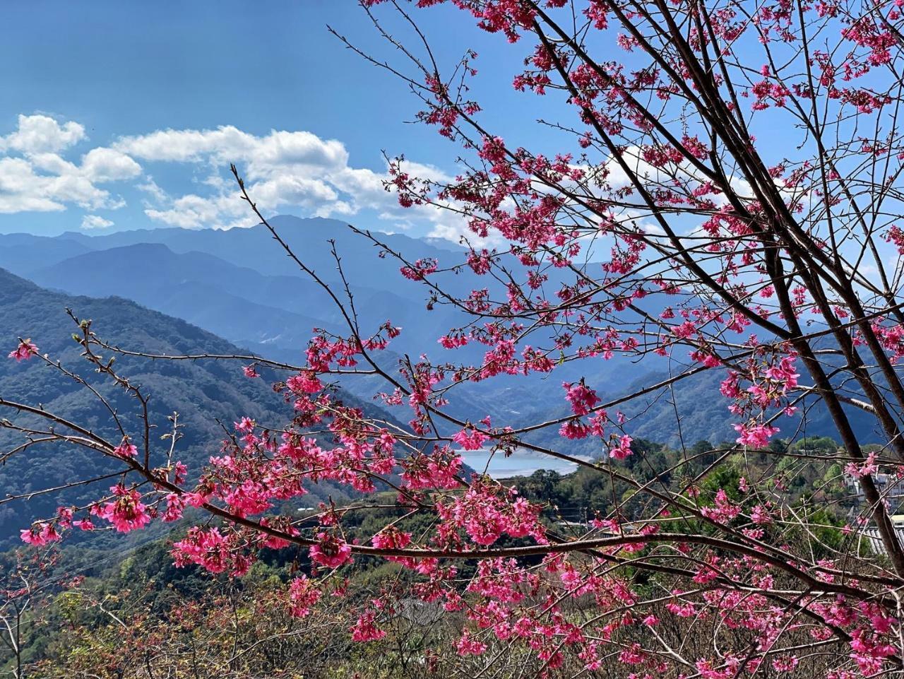 Tian Hsiang Tea B&B Ren'ai Esterno foto